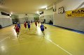 Basket 443071